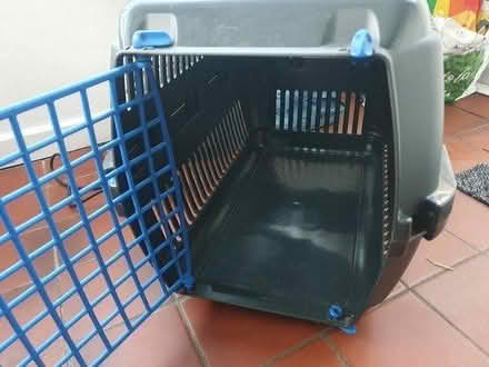 Photo of free Large cat carrier (Gilnahirk) #2