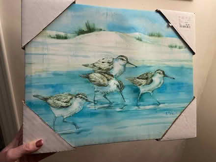 Photo of free Beach Bird canvas Picture (North Hollywood CA) #1