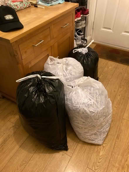 Photo of free Shredded paper animal bedding? (Beckenham Hill BR1) #1