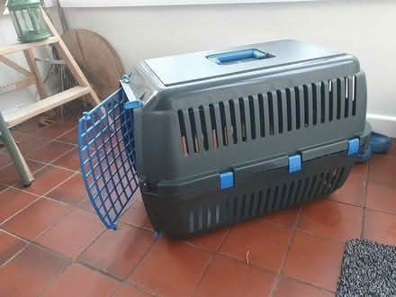 Photo of free Large cat carrier (Gilnahirk) #1