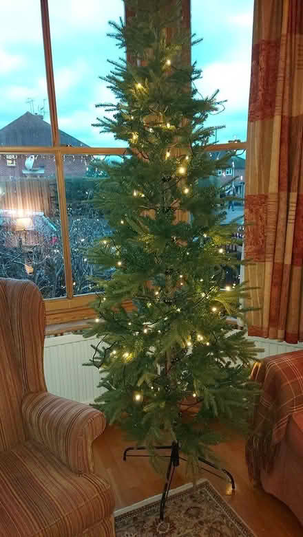 Photo of free M&S Christmas tree (Horsham back of station) #1
