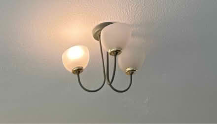 Photo of free Lamp and lamp shades (Horsforth (LS18)) #2