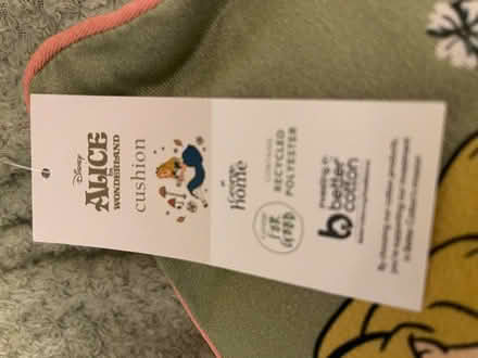 Photo of free New “Alice In Wonderland” Cushion (Gt Cornard CO10) #1