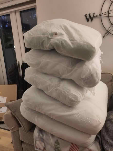 Photo of free Sofa Seat Cushions (RH19) #2
