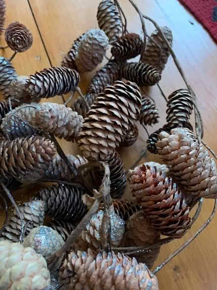 Photo of free Glittery pine cone garland (Craig-y-don LL30) #1