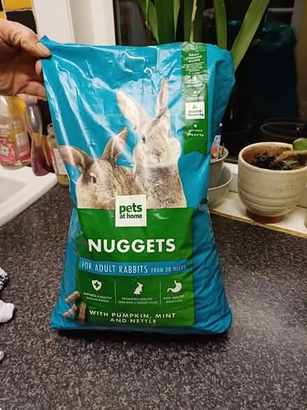 Photo of free Bunny food (Trewoon) #1