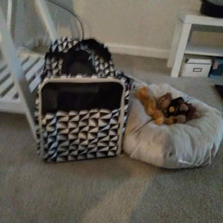 Photo of free Small dog bed and carrier (Bells Corners) #1