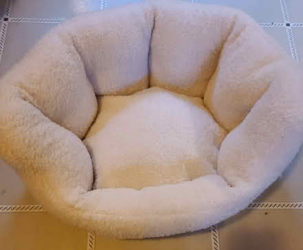 Photo of free Cat Litter Boxes, Beds, Treats (San Anselmo) #3