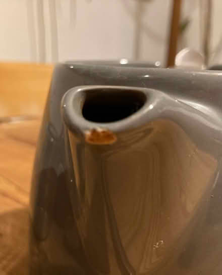 Photo of free One cup teapot (High Street, Twerton BA2) #3