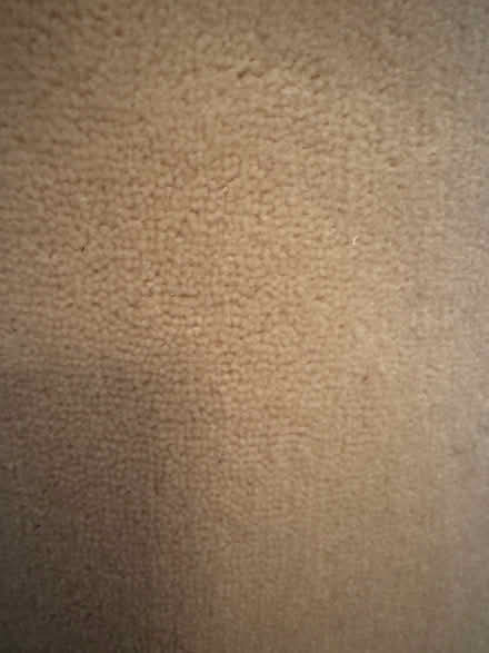 Photo of free Roll of Wool Carpet (unused) (Dublin 6) #2