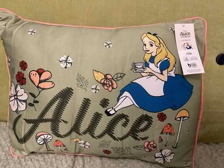 Photo of free New “Alice In Wonderland” Cushion (Gt Cornard CO10) #2