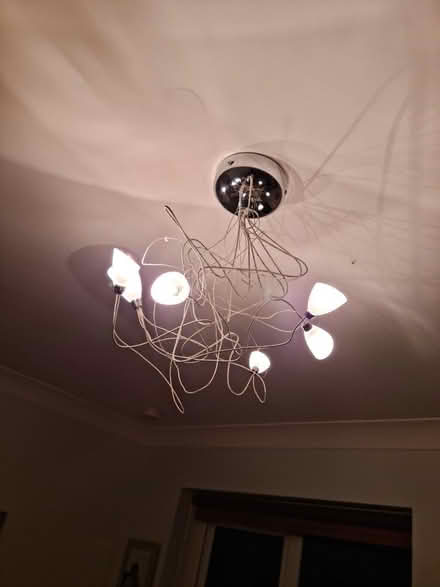 Photo of free Ceiling lights (Eastbourne BN21) #3