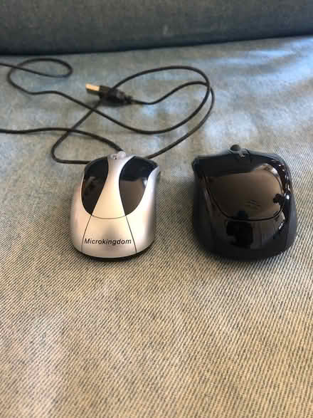 Photo of free Small mice (North Oakland/Bushrod) #1