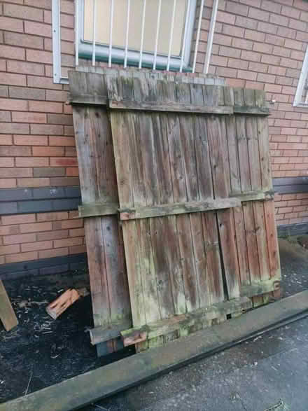 Photo of free wood & twigs for fire (Boscombe BH1) #4
