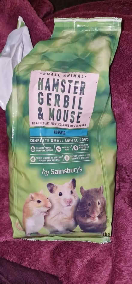 Photo of free Hamster/Gerbil/Mouse Food (CT11) #1