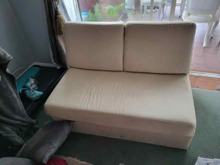 Photo of free Sleeper couch (Newhaven BN9) #1