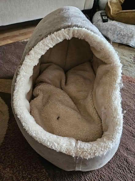 Photo of free Cat Cave (Ardenwood) #1