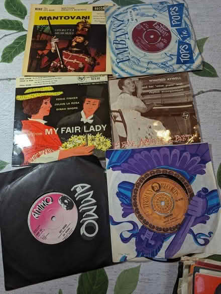 Photo of free 7" singles (Old Walcot SN3) #2