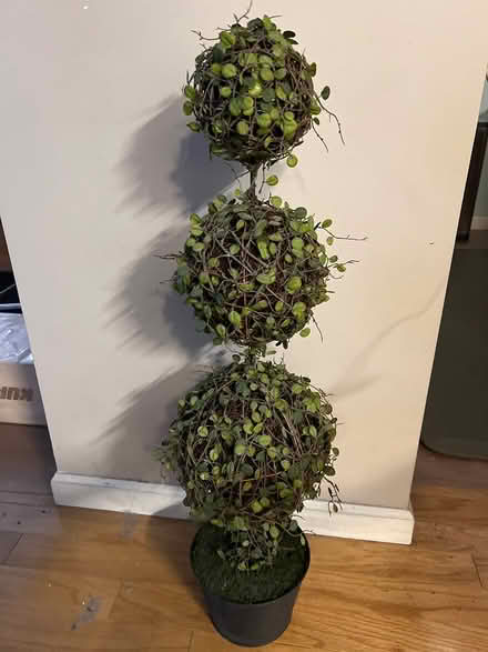 Photo of free Pottery Barn Topiary (East Harlem, above 125th St) #1