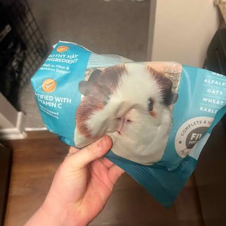 Photo of free full cheeks guinea pig food (west springfield) #1