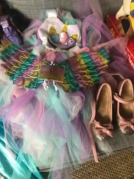 Photo of free Disney Princess toys & clothes (Walthamstow village) #2