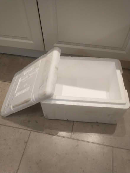 Photo of free Polystyrene insulated box (University Area RG6) #2