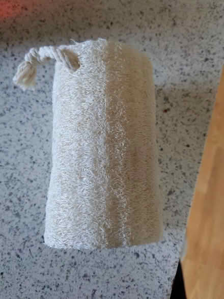 Photo of free Loofa (Silver Spring) #1