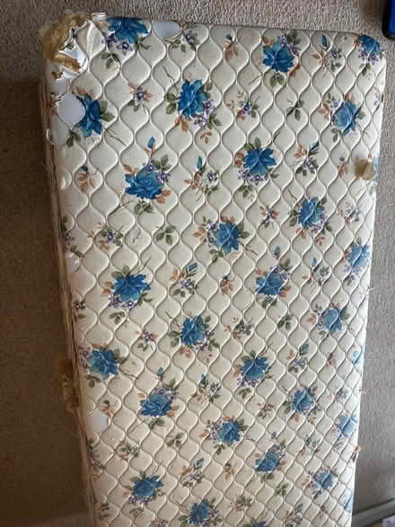 Photo of free Toy / Blanket Chest (Timsbury) #3