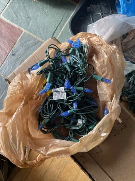 Photo of free Strings of Christmas Lights (Westerville) #2