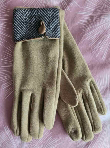 Photo of free Lady's gloves (Westbrook WA5) #1
