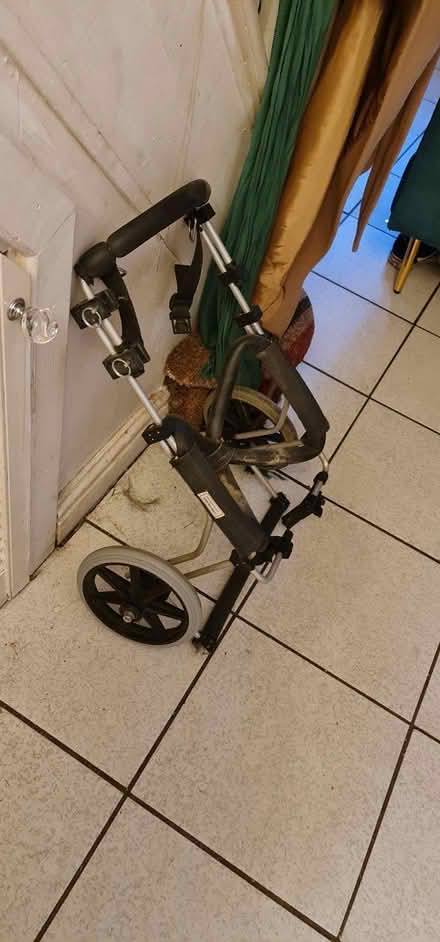Photo of free Disability Wheels for Dogs (Short Heath B23) #1