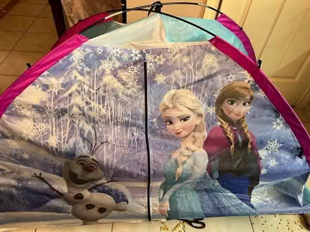 Photo of free Kids Play Tent - Anna & Elsa FROZEN (Richmond Hill) #2
