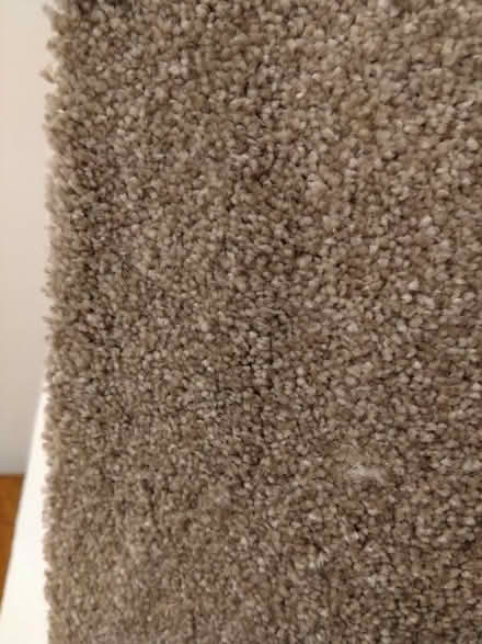Photo of free 3 large pieces of carpet (Ecclesall S11) #1