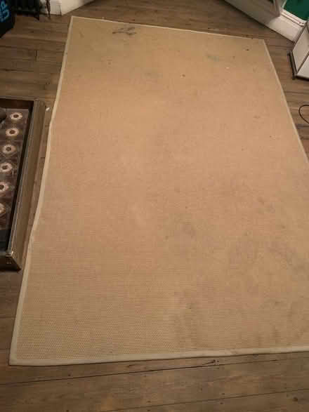Photo of free IKEA rug 2x 3m (Widcombe) #1