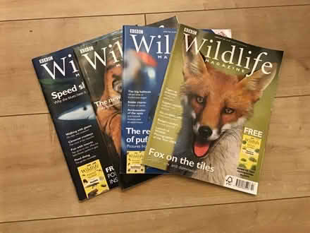 Photo of free BBC wildlife magazines - box of (Abingdon Road OX13) #1