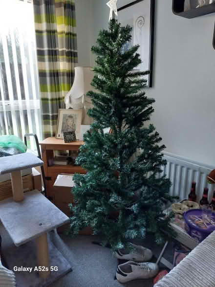 Photo of free Christmas tree (Little Bloxwich WS3) #1