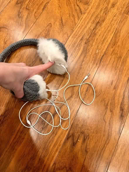 Photo of free Ear-warmer headphones (w/ cable) (SW7) #3