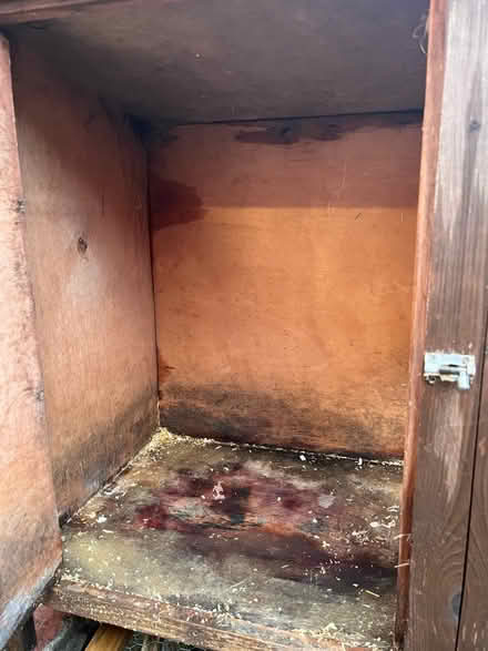 Photo of free Rabbit / guinea pig hutch and run (S7 Sharrow) #4