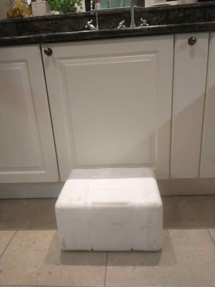 Photo of free Polystyrene insulated box (University Area RG6) #1