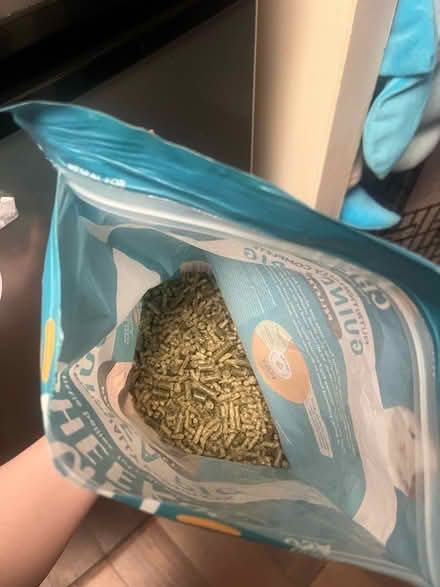 Photo of free full cheeks guinea pig food (west springfield) #2