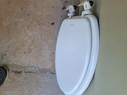 Photo of free Toilet seat (Millwood) #2