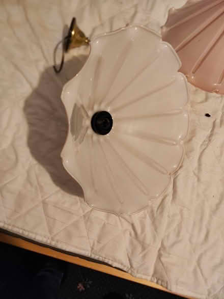 Photo of free Pair of glass light fittings (Twerton) #1