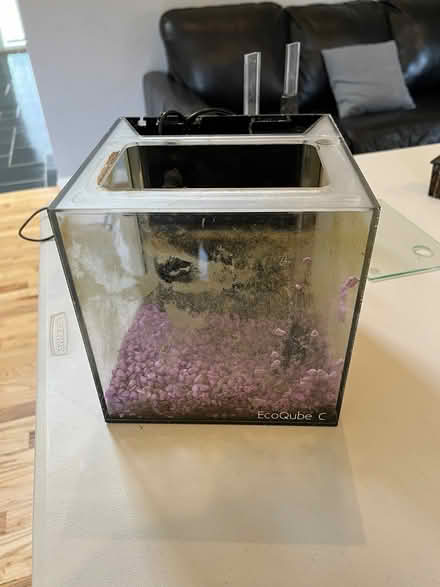 Photo of free 2 gallon fish tank (Potomac - Falls and Democracy) #1