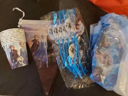 Photo of free Frozen themed party things (Botley OX2) #1