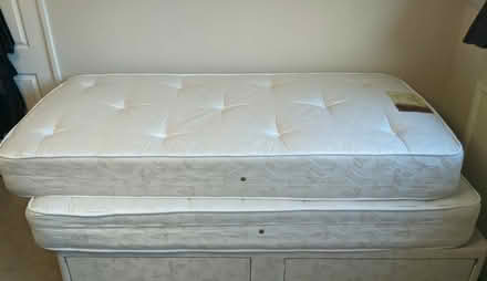 Photo of free Single mattress (Ivy Farm SK11) #1