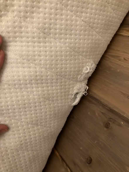Photo of free Children's foam mattress (Leckhampton GL53) #3