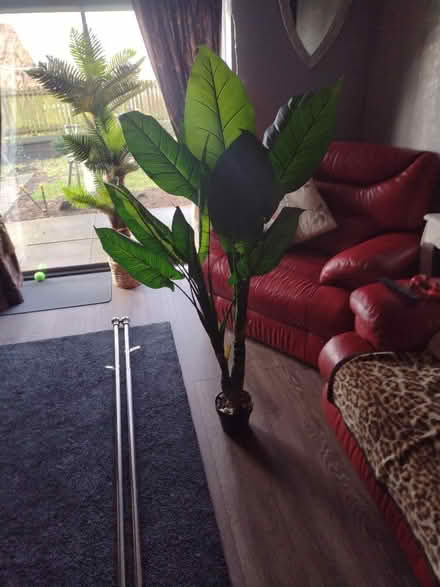 Photo of free Artificial plant (Seacroft LS14) #1