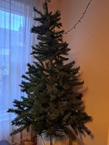 Photo of free Artificial Christmas Tree (Seaside BN22) #2