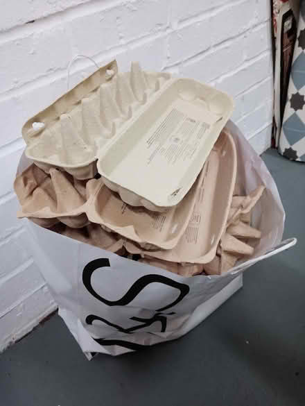 Photo of free Egg Boxes (Knaresborough HG5) #1