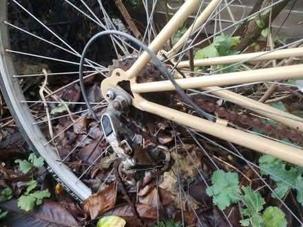 Photo of free Steel framed bike (BA11 Frome) #3